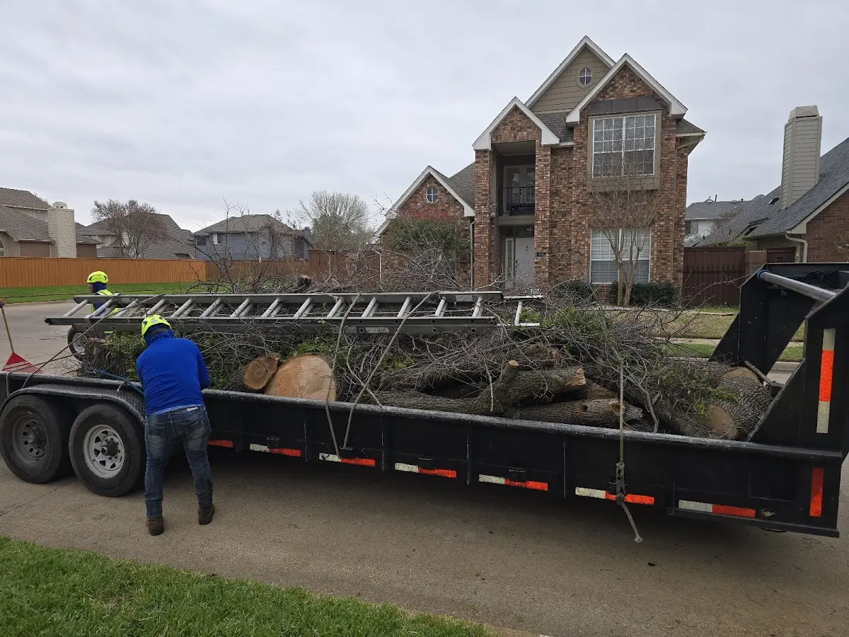 Expert Tree Fertilization with proper safety equipment in Aguila